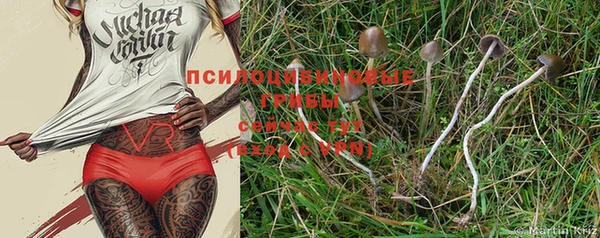 марки lsd Краснотурьинск